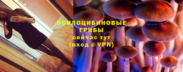ешки Магас