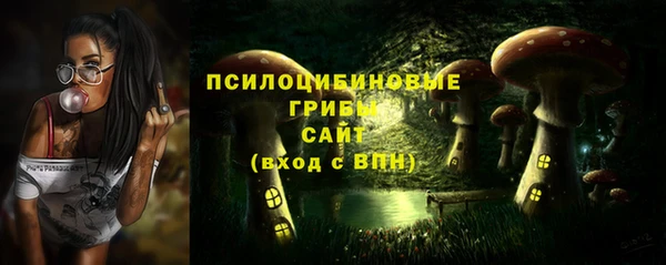 индика Майский