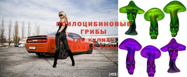 индика Майский