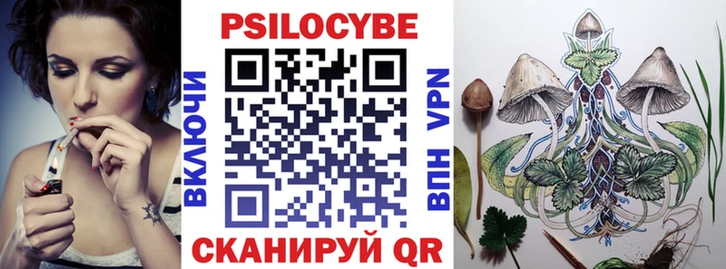 Купить закладки  Красноярск  Псилоцибиновые грибы мицелий 